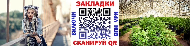 LSD-25 Урюпинск