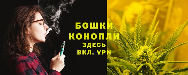 дживик Нягань