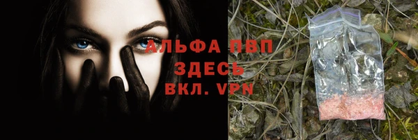 дживик Нягань