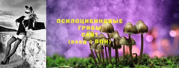 спиды Нязепетровск