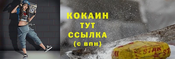 экстази Няндома