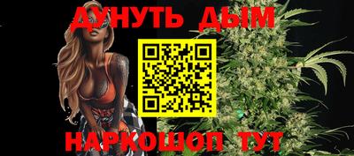 сатива Новозыбков