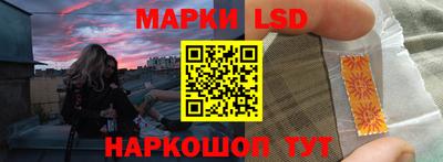 сатива Новозыбков