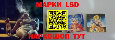 сатива Новозыбков