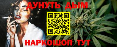 сатива Новозыбков