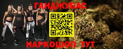 сатива Новозыбков