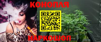 сатива Новозыбков