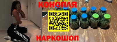 дмт Новокубанск