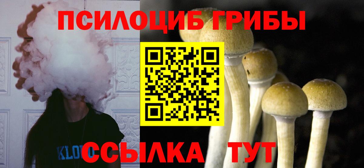Урюпинск  Псилоцибиновые грибы прущие грибы  сколько стоит  Вход с VPN 